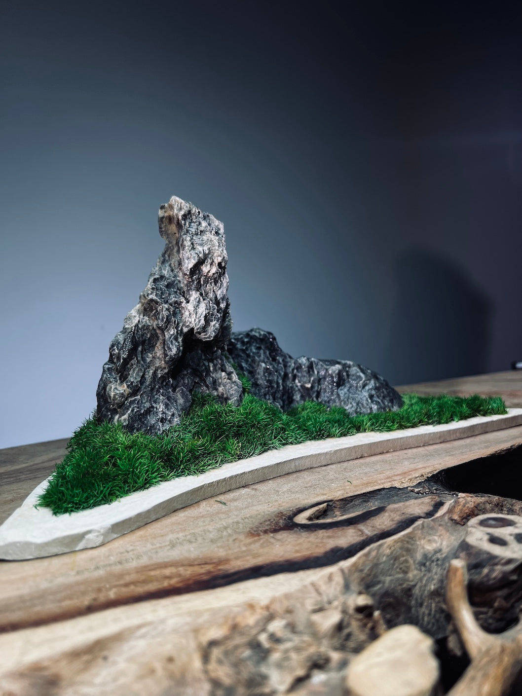 Stormy Hill (Stone Work+Preserved Plant)