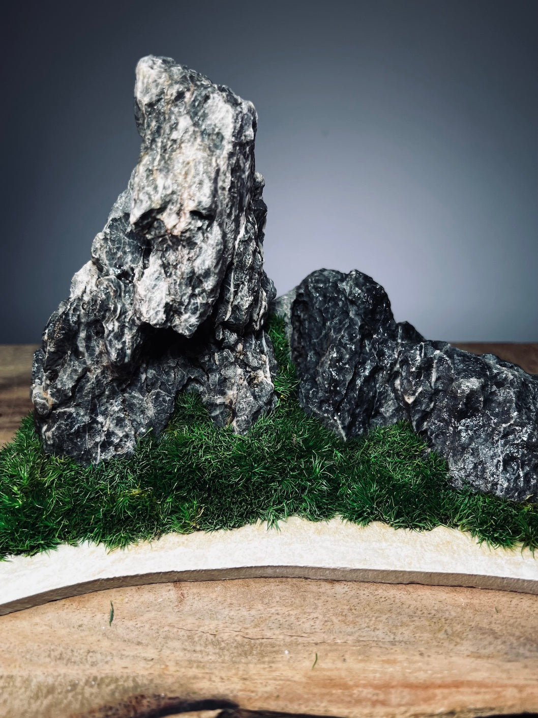 Stormy Hill (Stone Work+Preserved Plant)