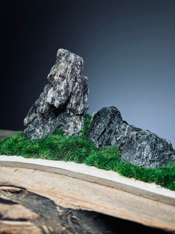 Stormy Hill (Stone Work+Preserved Plant)