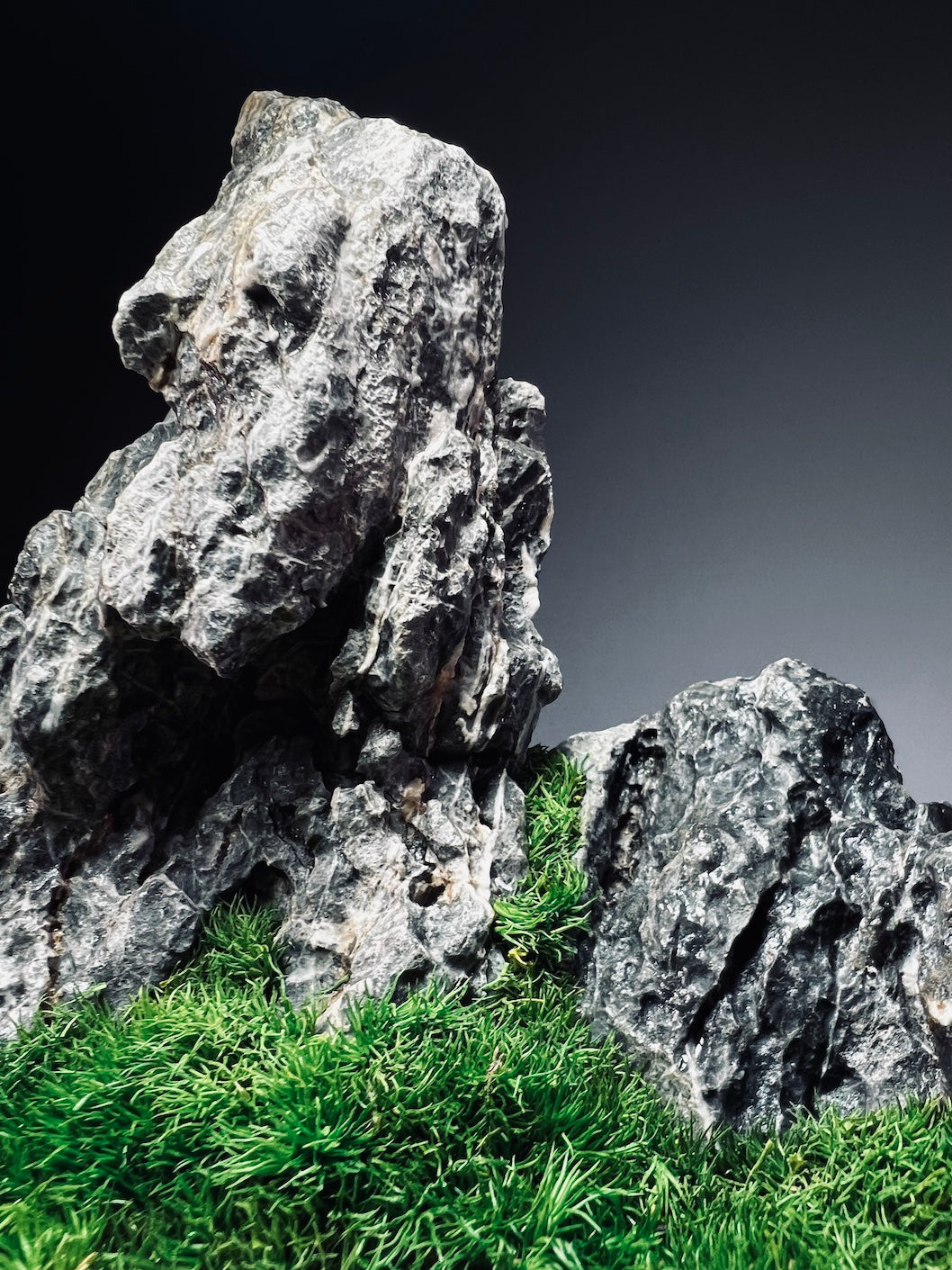 Stormy Hill (Stone Work+Preserved Plant)