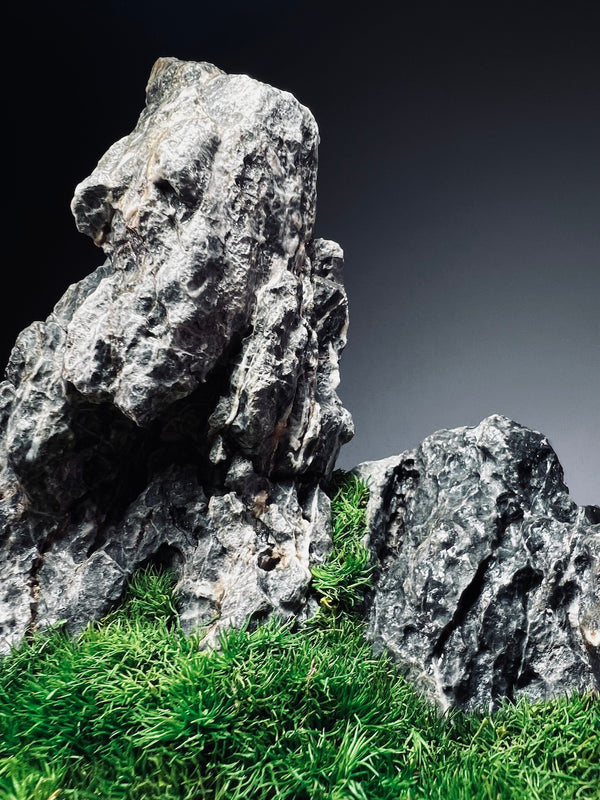 Stormy Hill (Stone Work+Preserved Plant)