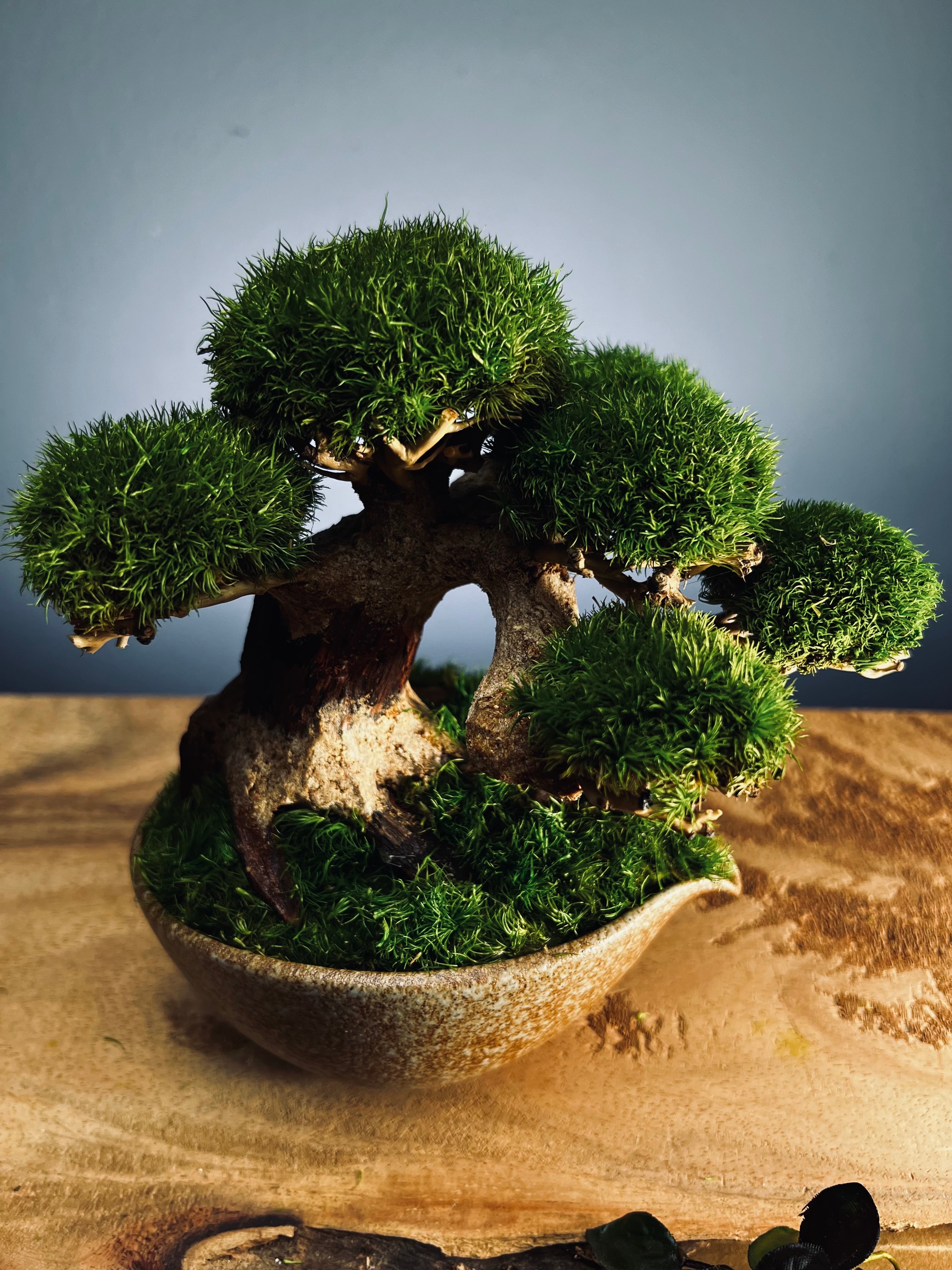 Slow Wood - Young - Garden edition (Preserved Plants)