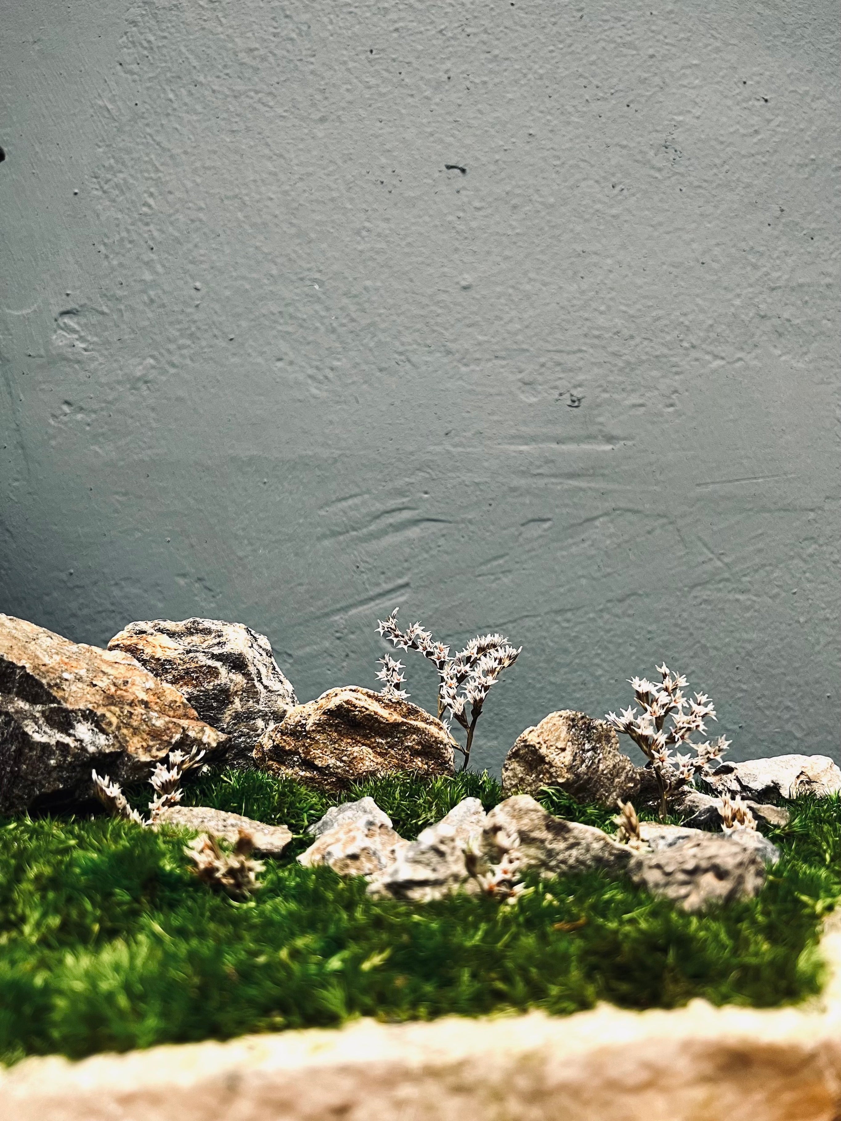 Emerald Hill (Preserved Plants)