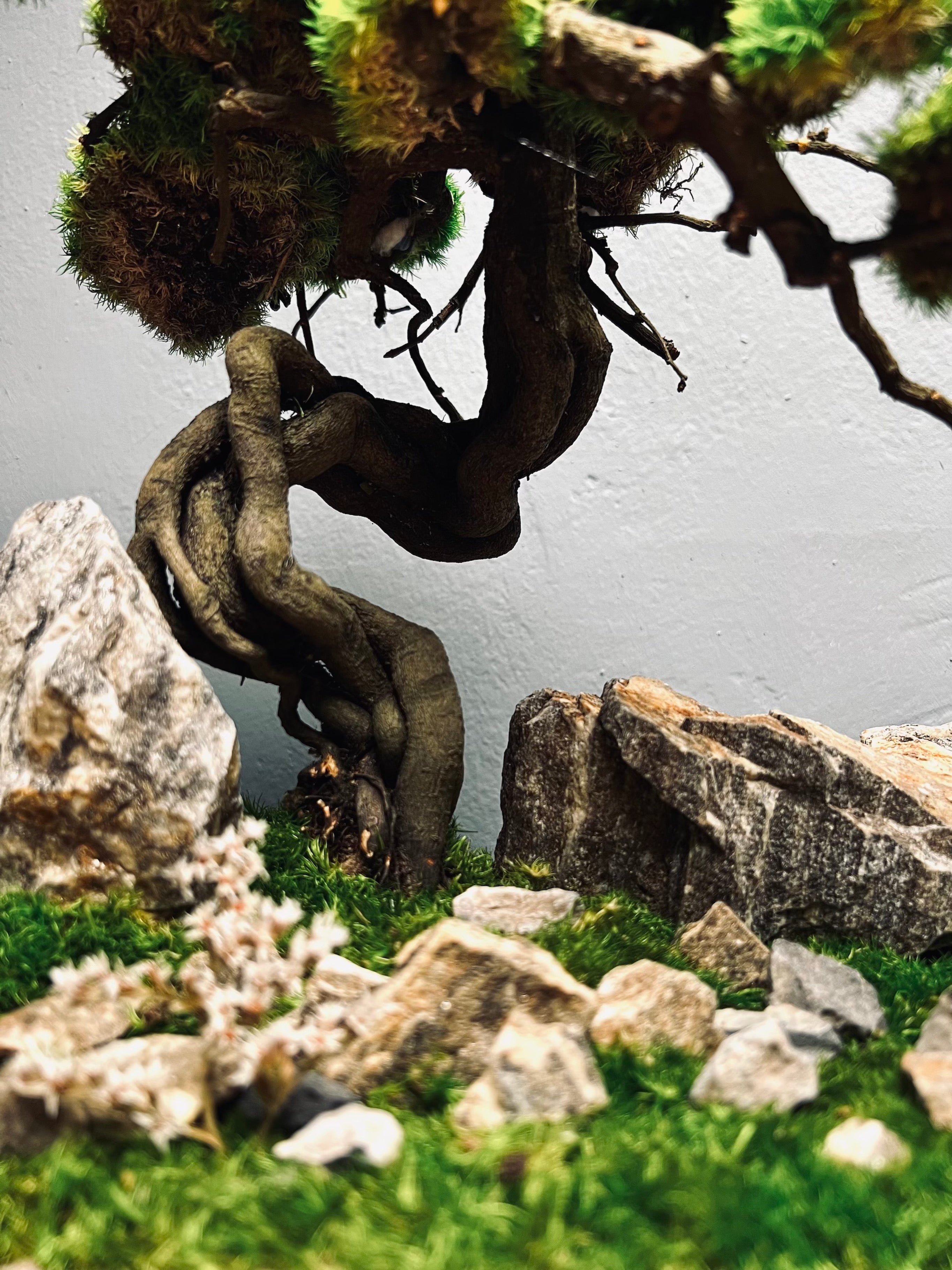 Emerald Hill (Preserved Plants)