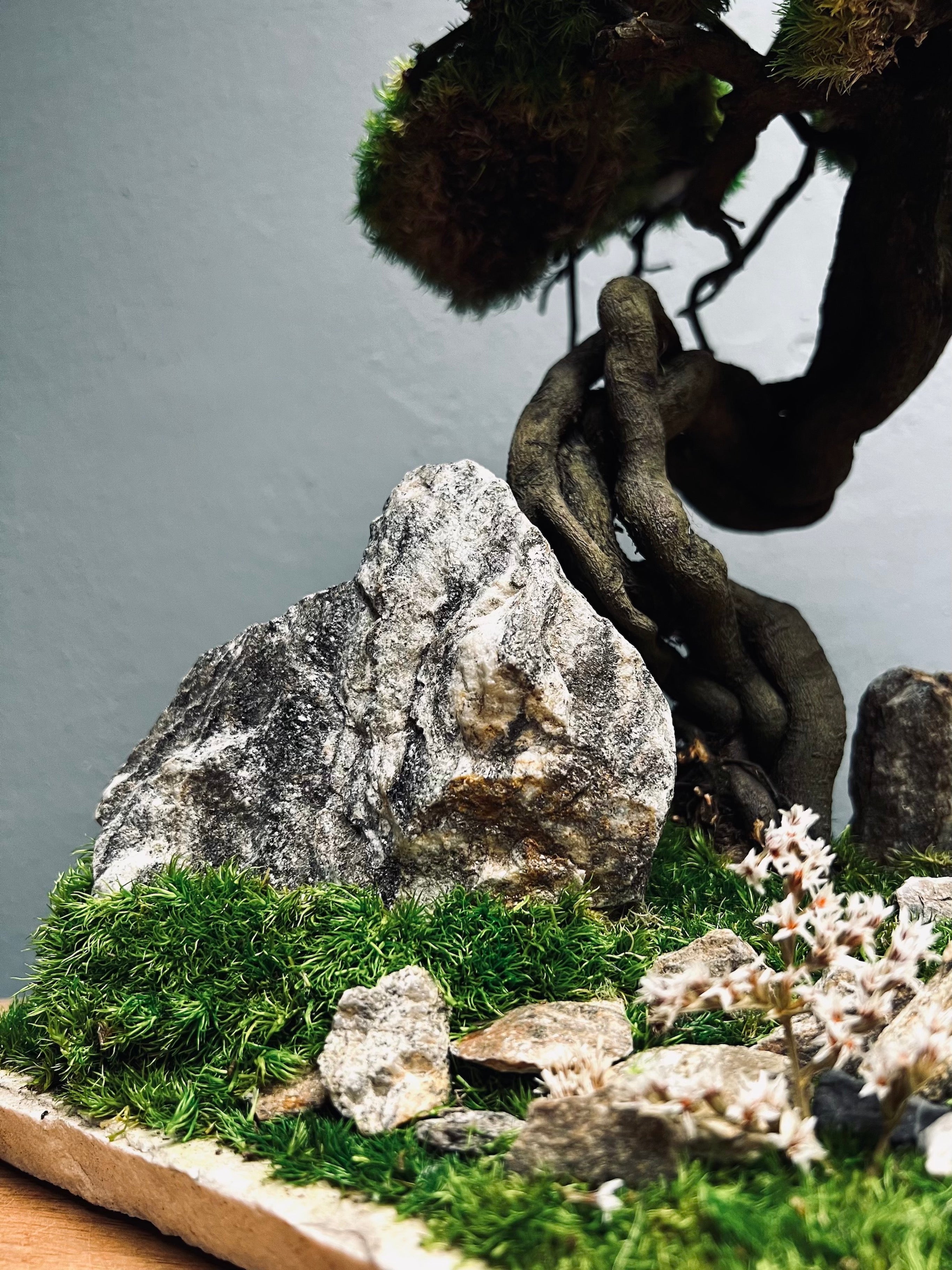 Emerald Hill (Preserved Plants)