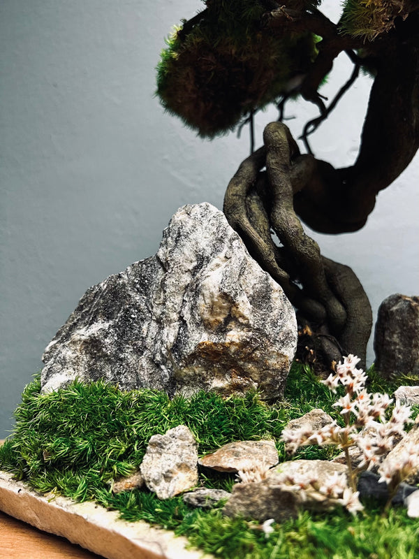 Emerald Hill (Preserved Plants)