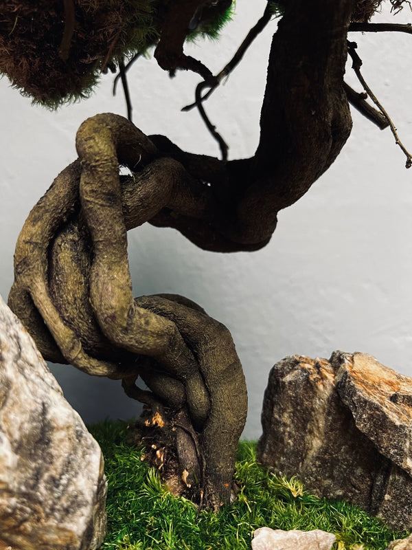 Emerald Hill (Preserved Plants)