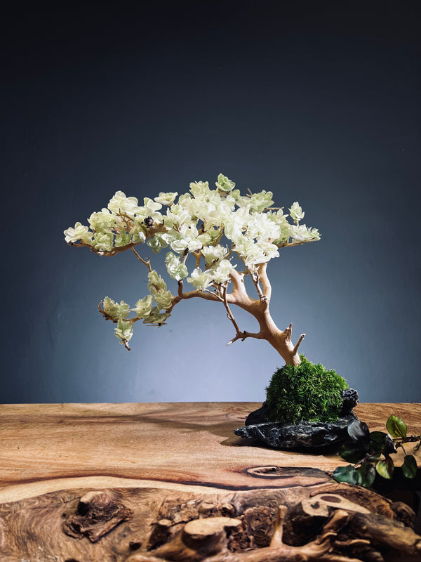 Mellow Tone of April (Preserved Plants)