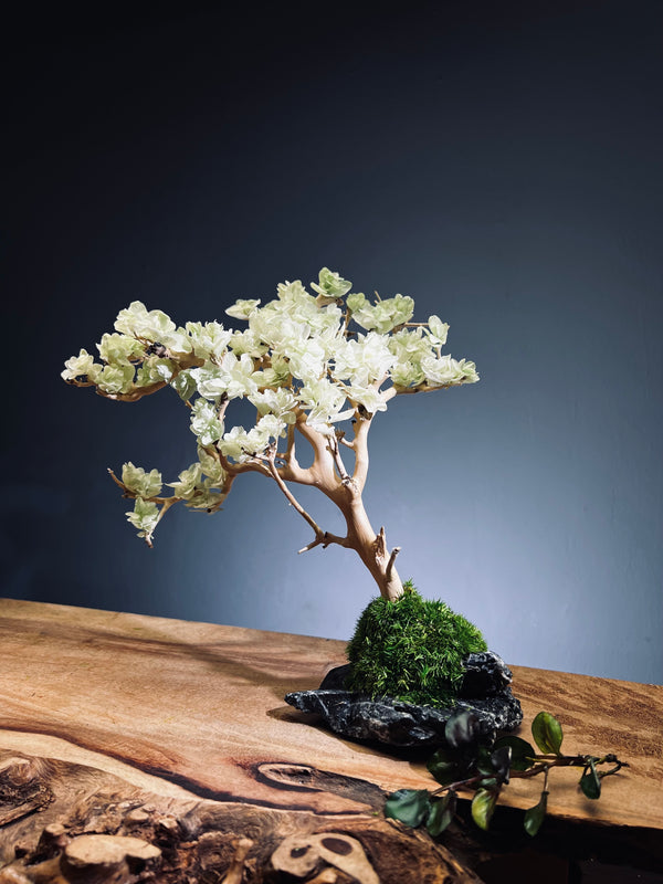 Mellow Tone of April (Preserved Plants)