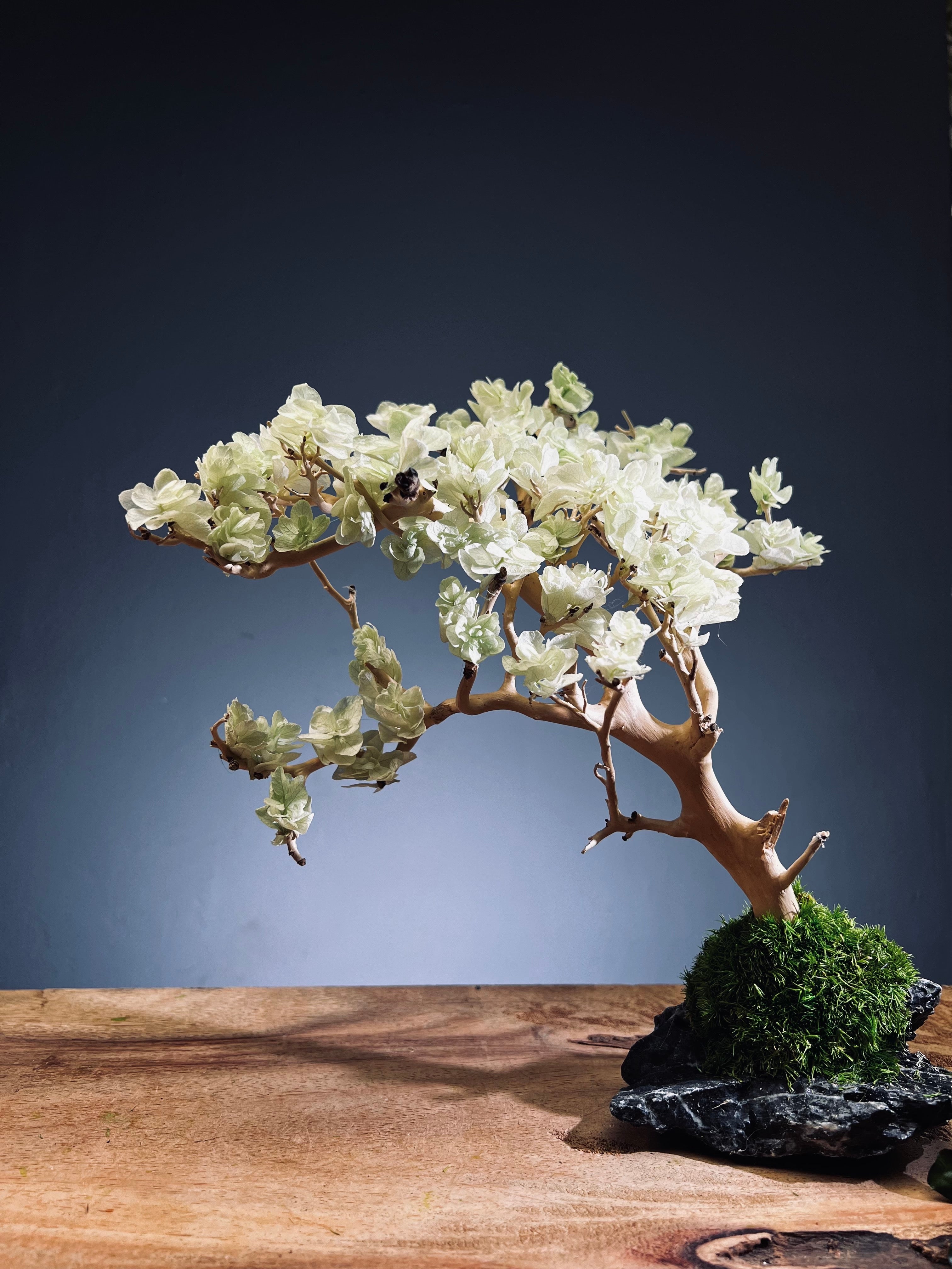 Mellow Tone of April (Preserved Plants)