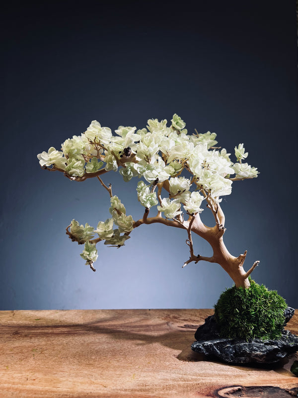 Mellow Tone of April (Preserved Plants)