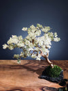 Mellow Tone of April (Preserved Plants)