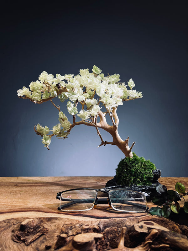 Mellow Tone of April (Preserved Plants)