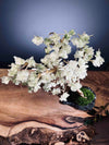 Mellow Tone of April (Preserved Plants)