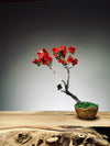 Slow Wood - The Journey - Teen Petals edition (Preserved Plants)