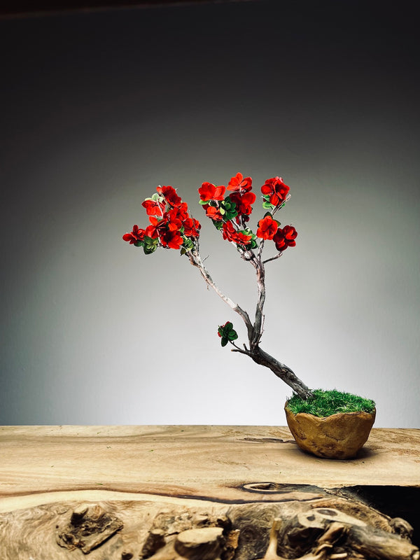 Slow Wood - The Journey - Teen Petals edition (Preserved Plants)