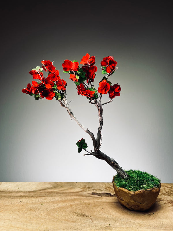 Slow Wood - The Journey - Teen Petals edition (Preserved Plants)