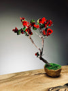 Slow Wood - The Journey - Teen Petals edition (Preserved Plants)