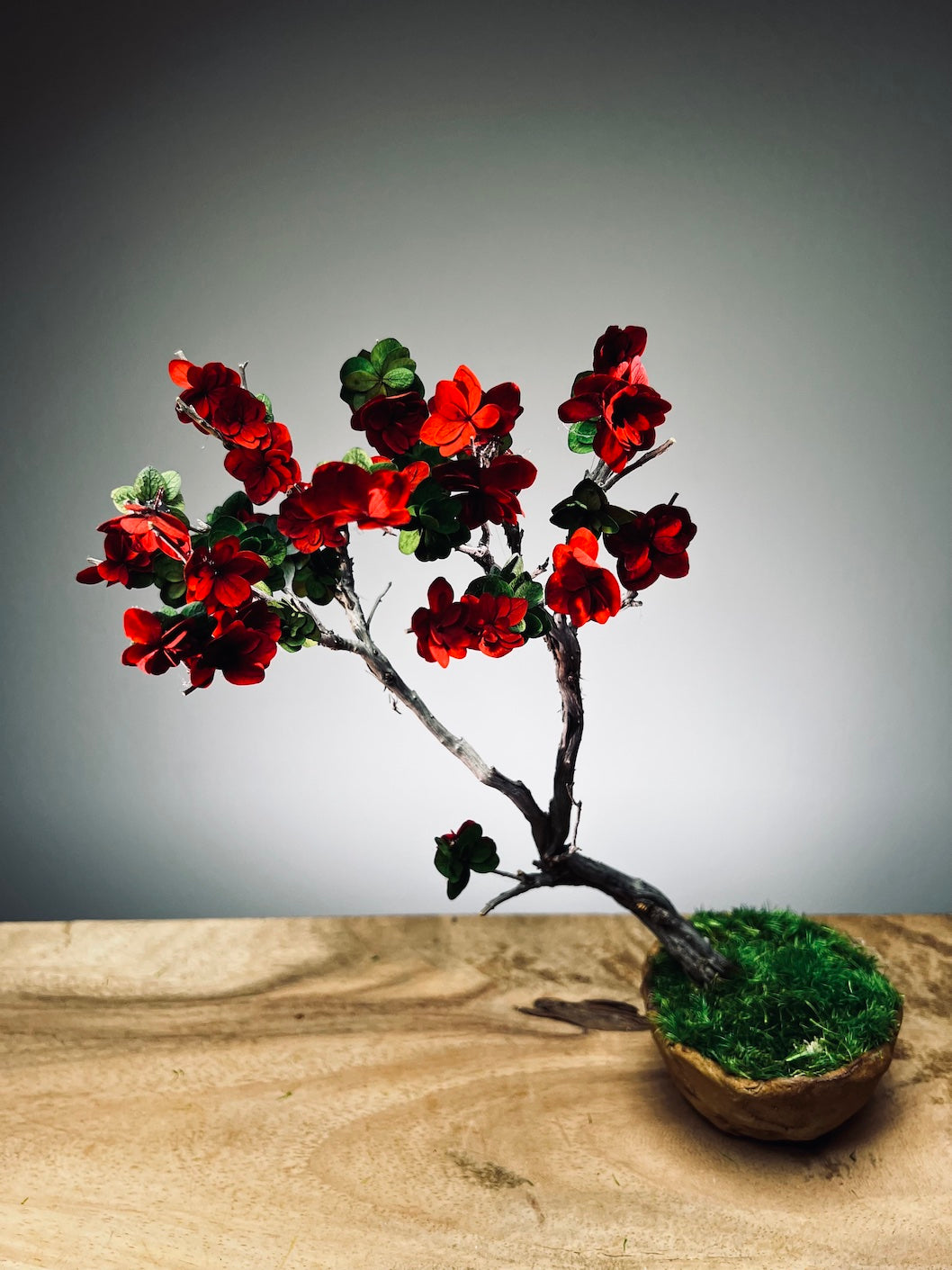 Slow Wood - The Journey - Teen Petals edition (Preserved Plants)