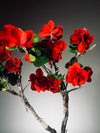 Slow Wood - The Journey - Teen Petals edition (Preserved Plants)
