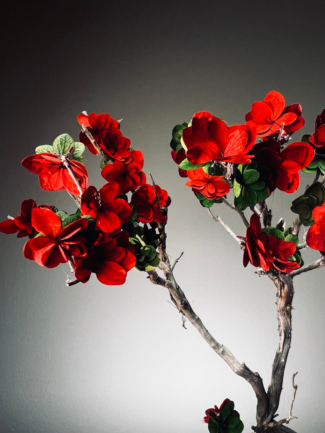 Slow Wood - The Journey - Teen Petals edition (Preserved Plants)