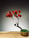 Slow Wood - The Journey - Teen Petals edition (Preserved Plants)