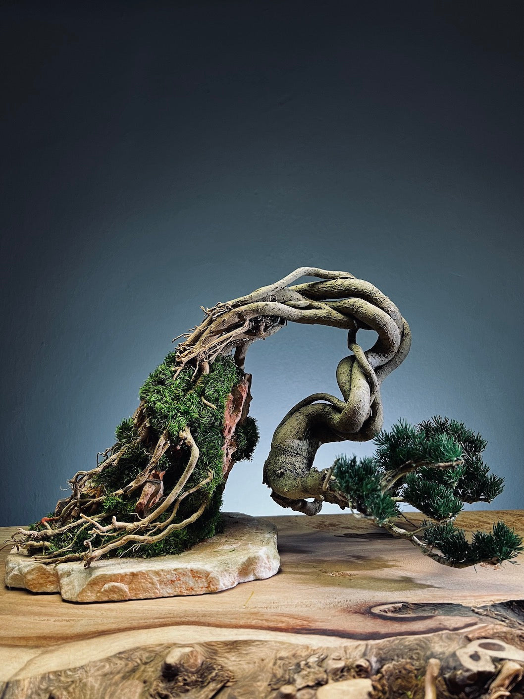 Lone Pine - Cultured Steel (Preserved Plants)