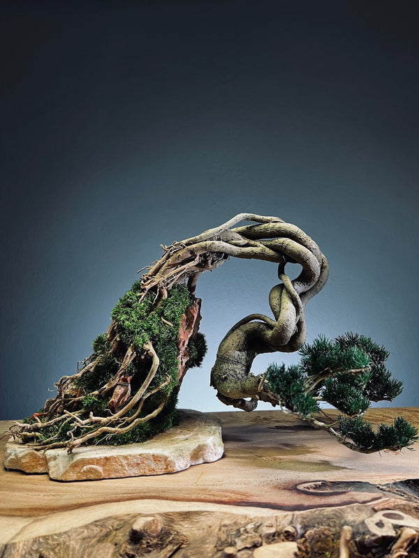 Lone Pine - Cultured Steel (Preserved Plants)