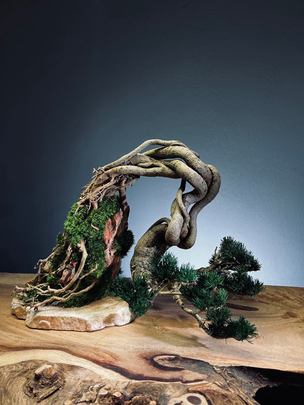 Lone Pine - Cultured Steel (Preserved Plants)