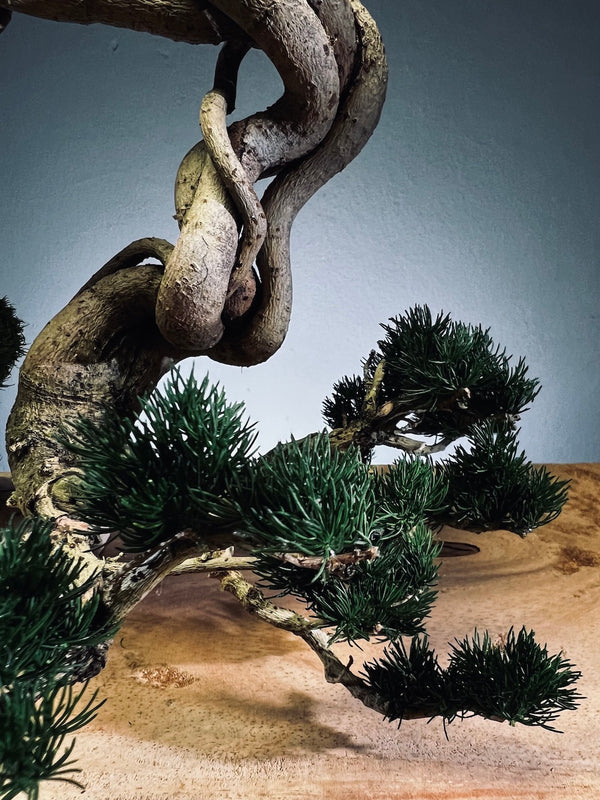 Lone Pine - Cultured Steel (Preserved Plants)