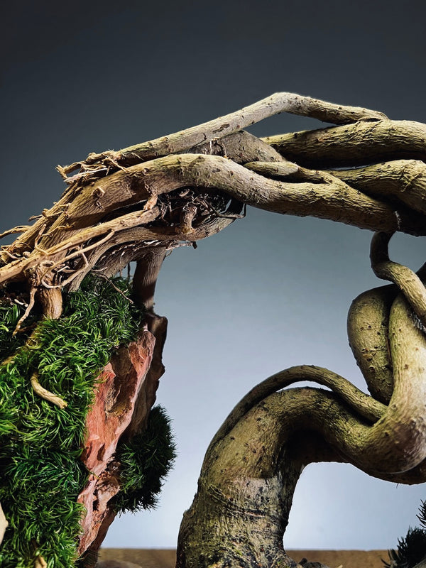 Lone Pine - Cultured Steel (Preserved Plants)