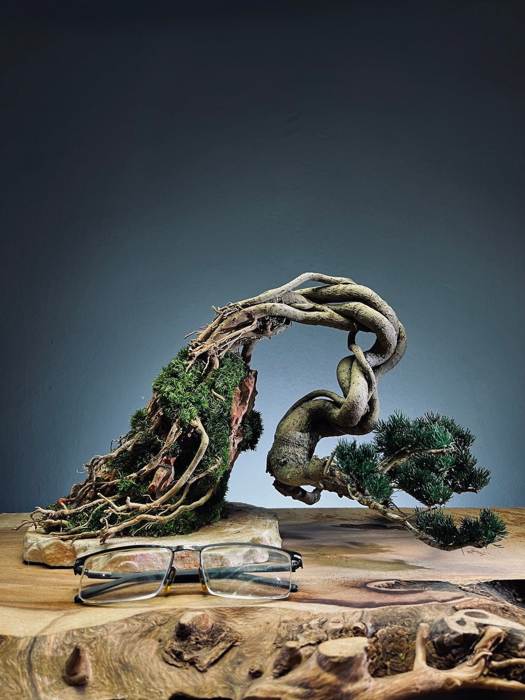 Lone Pine - Cultured Steel (Preserved Plants)