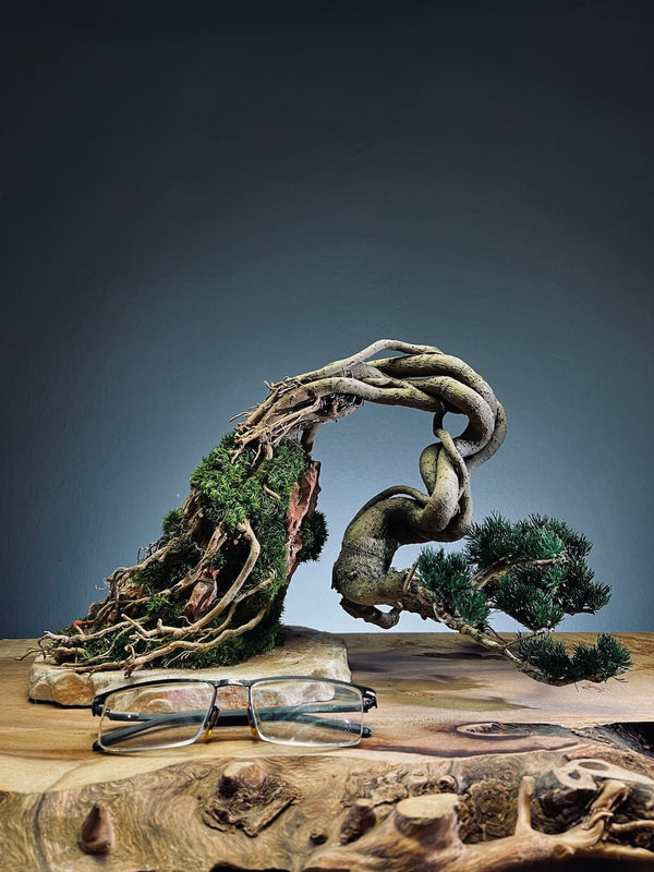 Lone Pine - Cultured Steel (Preserved Plants)