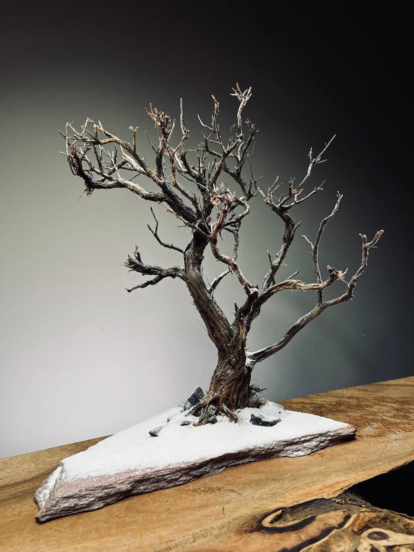 Winter's Deep (Preserved Plants)