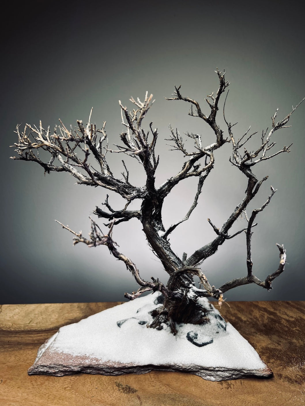 Winter's Deep (Preserved Plants)