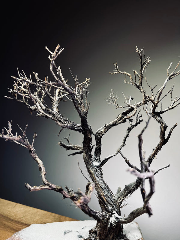Winter's Deep (Preserved Plants)