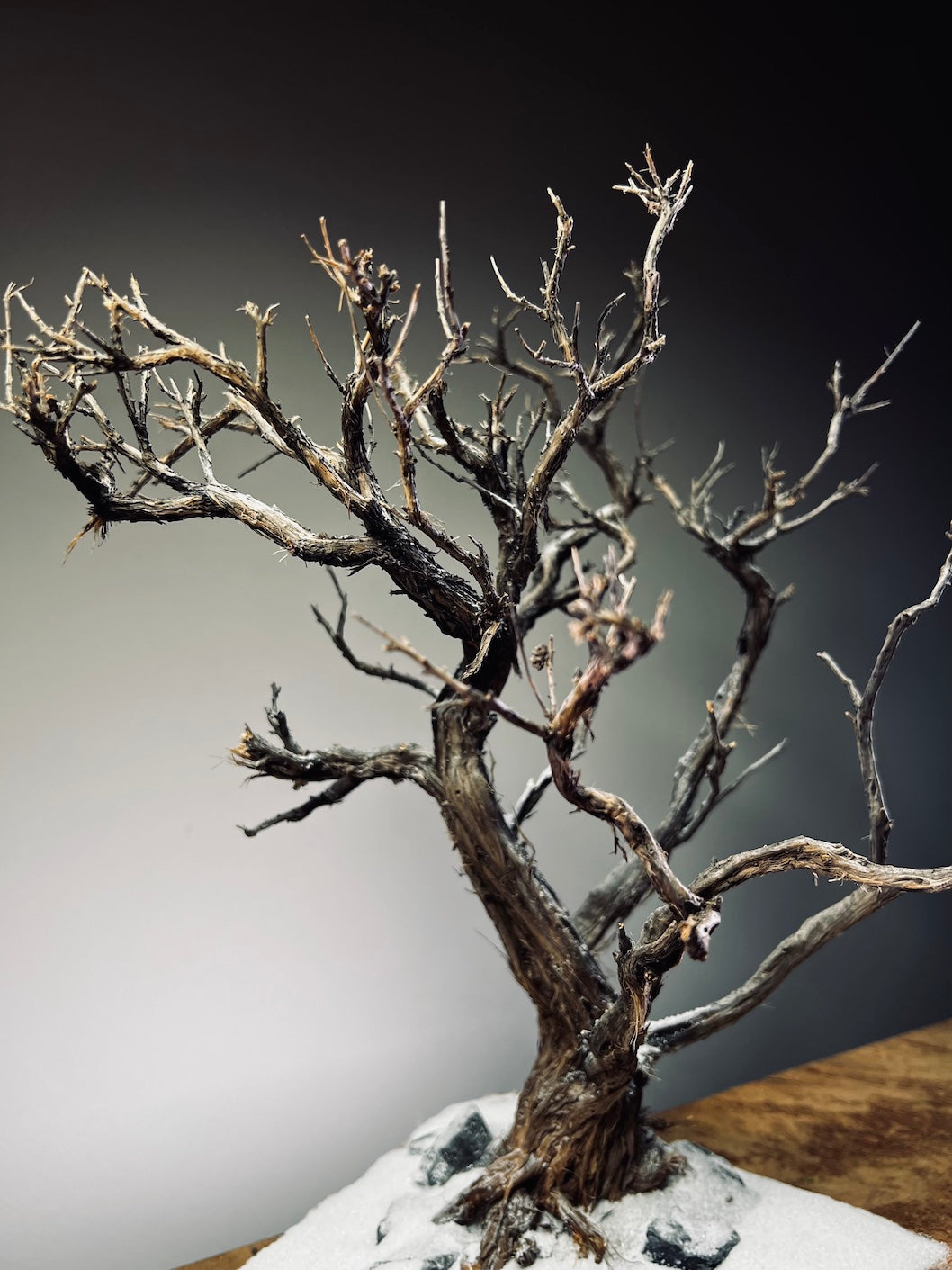 Winter's Deep (Preserved Plants)