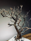 Winter's Deep (Preserved Plants)
