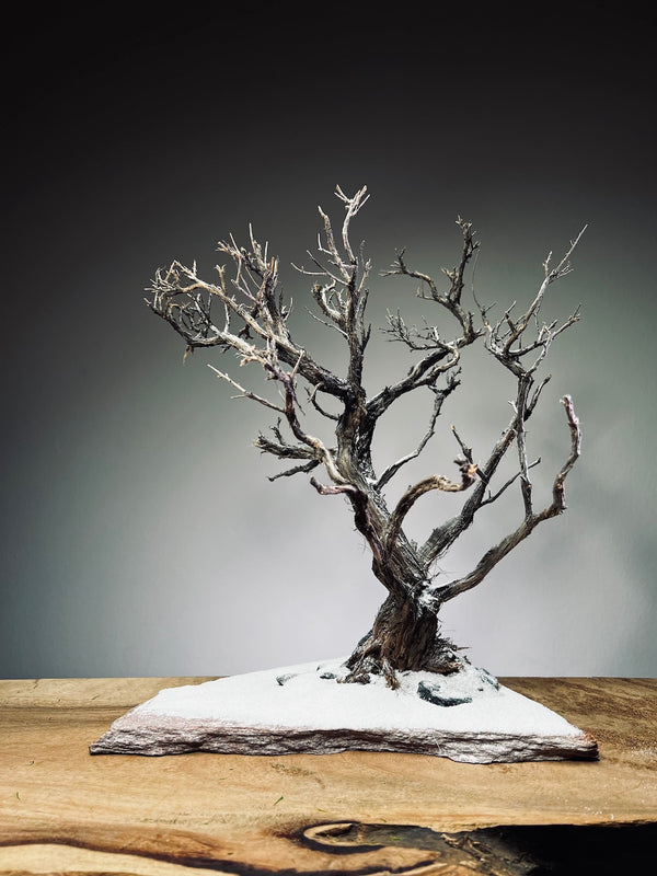 Winter's Deep (Preserved Plants)