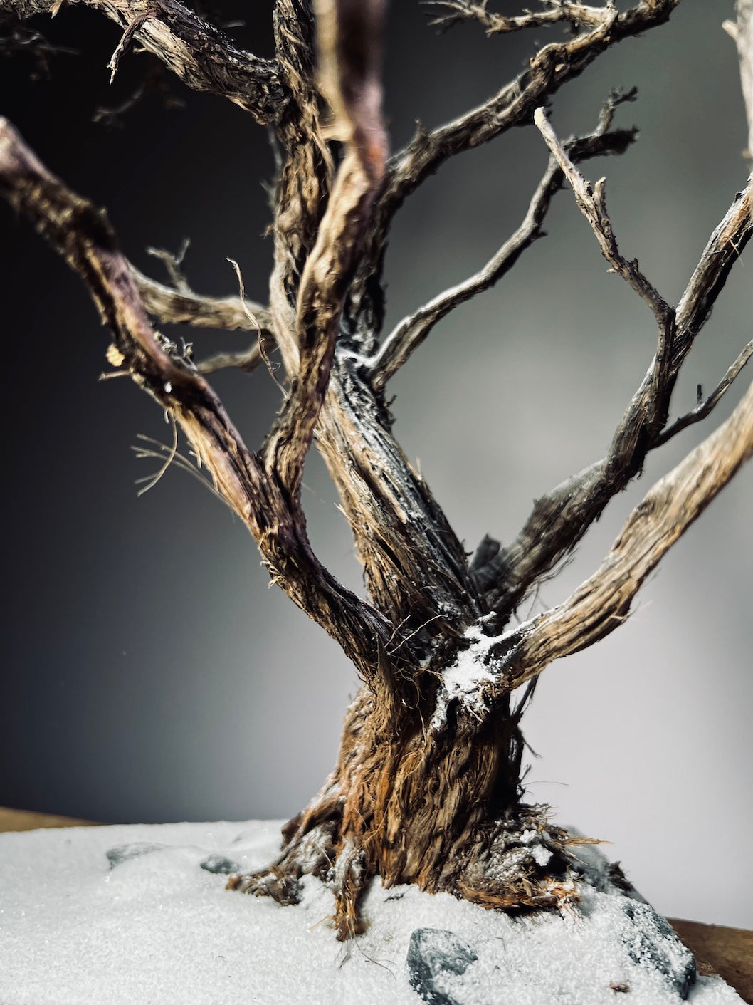 Winter's Deep (Preserved Plants)