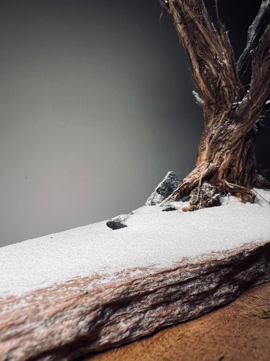 Winter's Deep (Preserved Plants)