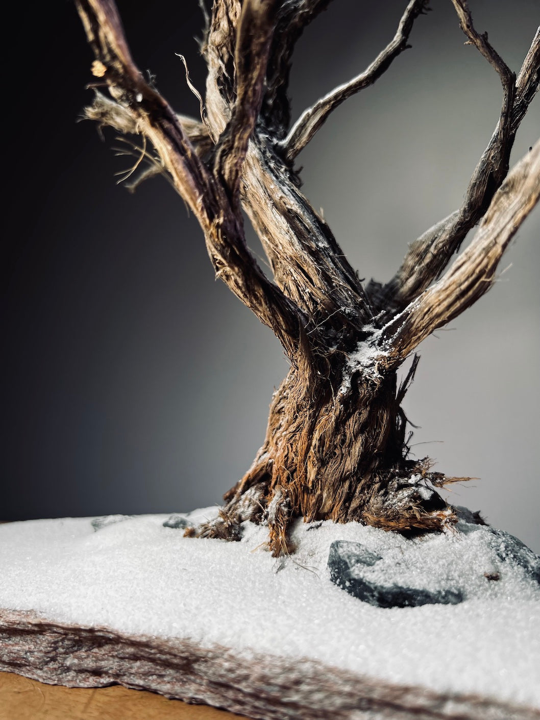 Winter's Deep (Preserved Plants)