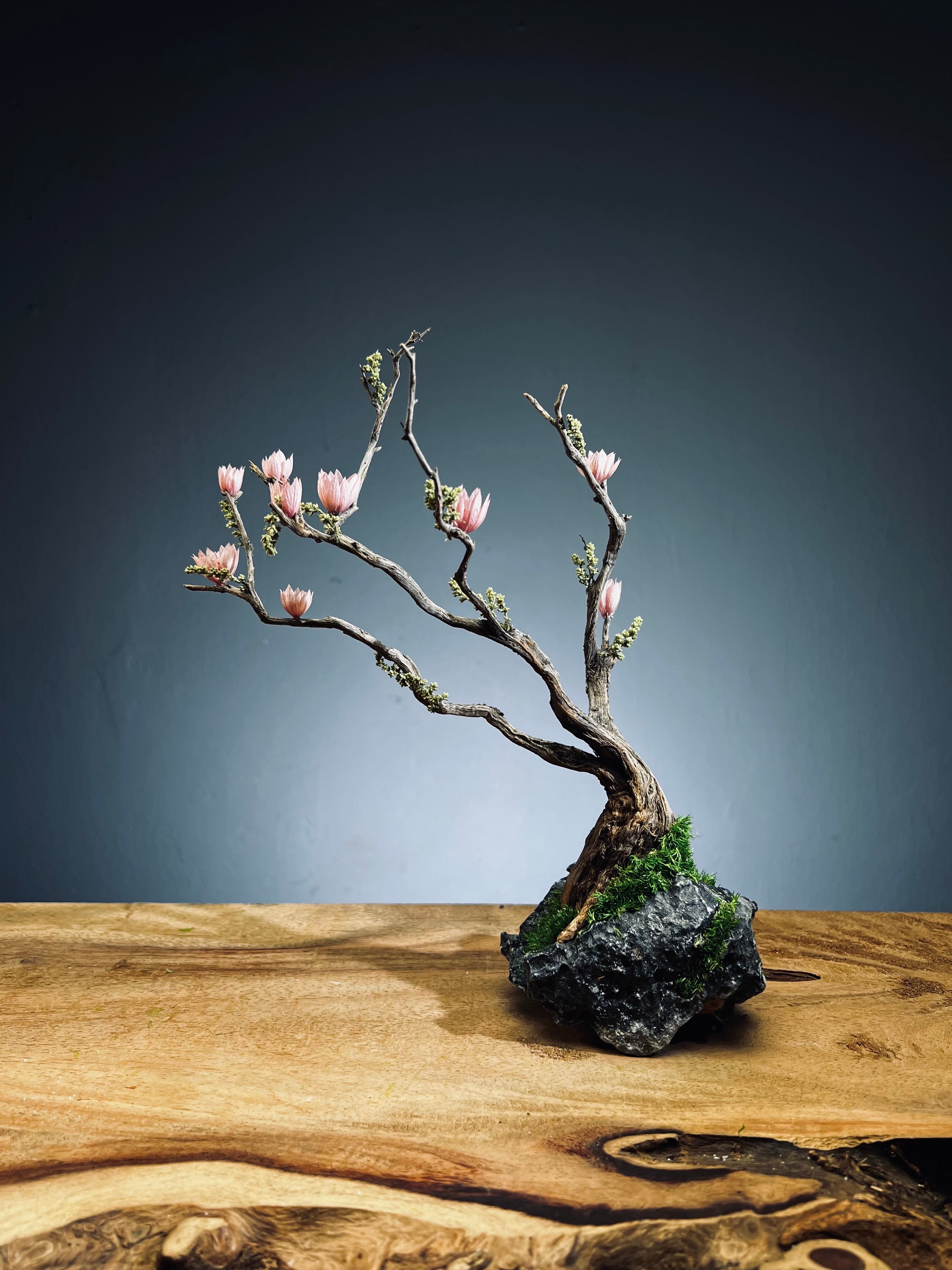 Winter's End (Preserved Plants)