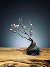 Winter's End (Preserved Plants)