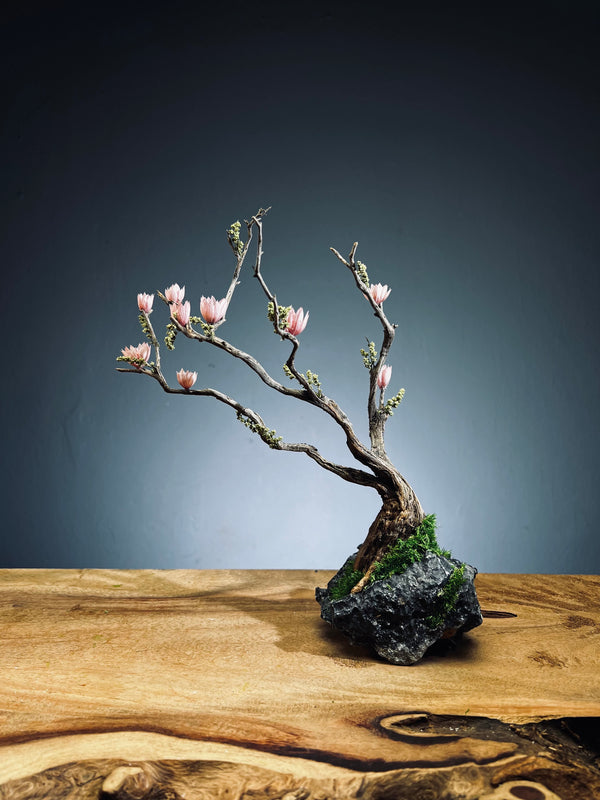 Winter's End (Preserved Plants)