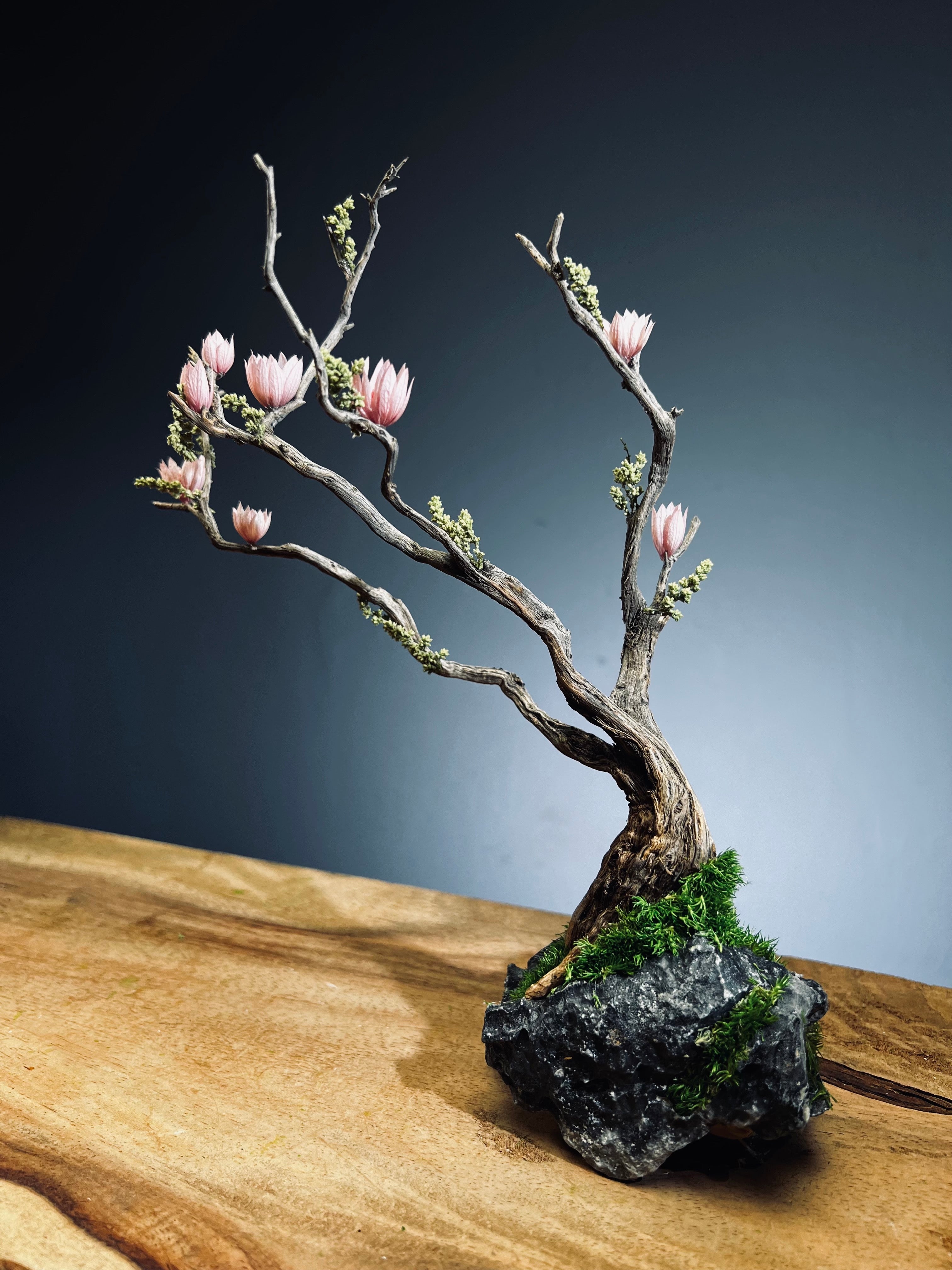 Winter's End (Preserved Plants)