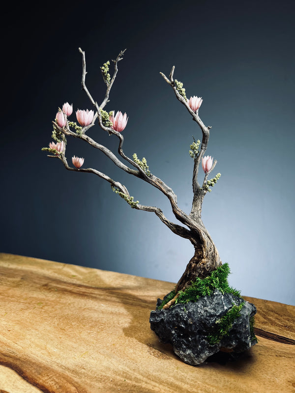 Winter's End (Preserved Plants)