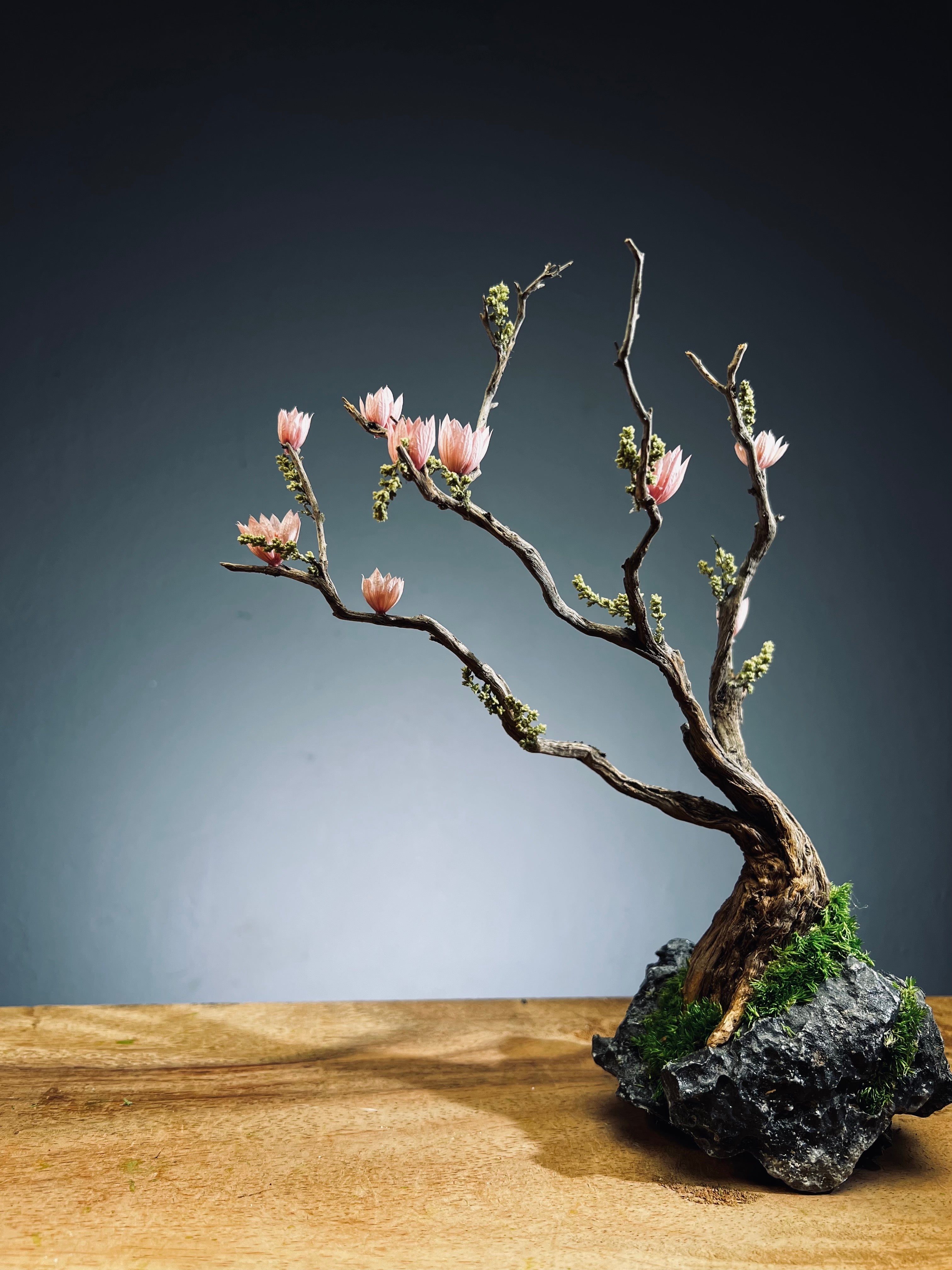 Winter's End (Preserved Plants)