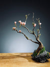 Winter's End (Preserved Plants)