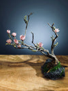 Winter's End (Preserved Plants)